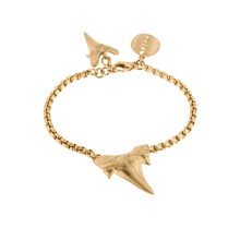 Bransoletka unisex z zębem rekina z kolekcji Fossil