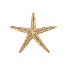 Pin rozgwiazda z kolekcji Maris