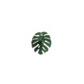 Monstera leaf pin from the Plantis collection PLB12-1-1 ORSKA jewelry