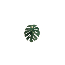 Zielony pin monstera dziurawa z kolekcji Plantis