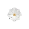 Large flower-shaped pin - Chamomile PLB26-6 ORSKA