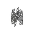 Silver ring with a twig from the Thuja collection TP42-2 ORSKA