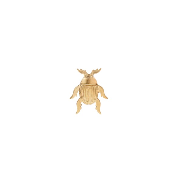 Złoty pin żuk z kolekcji Insekty