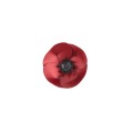 Red common poppy pin from the Plantis collection PLB24-9-1 ORSKA jewelry