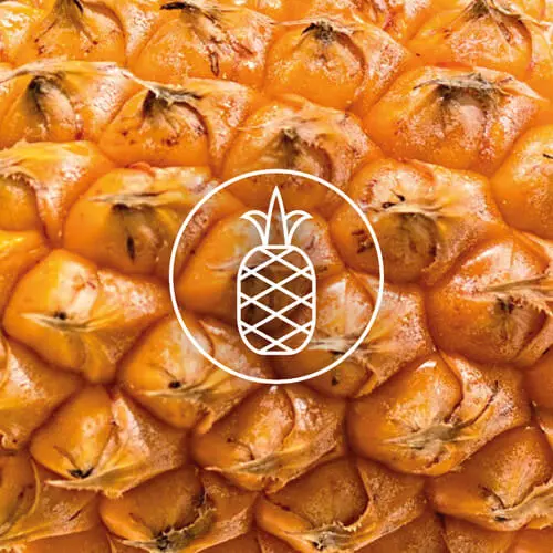 Wegańskie torebki z kolekcji Vivo zostały wykonane ze skór owocowych i roślinnych, w tym Piniatex, z ananasa, co potwierdza certyfika PETA Vegan Approved