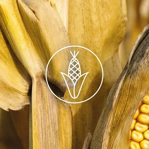 Wegańskie torebki z kolekcji Vivo zostały wykonane z skór alternatywnych co potwierdza certyfika PETA Vegan Approved