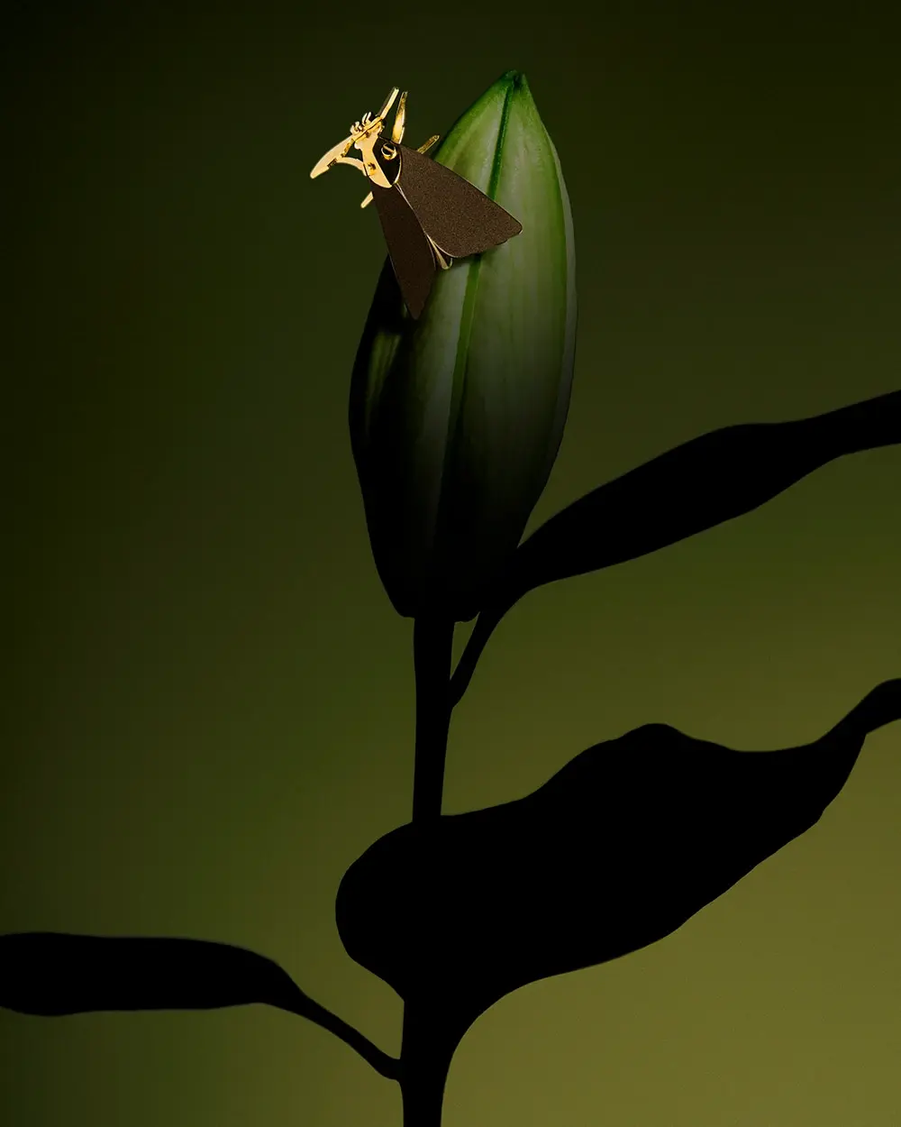 Pin ćma