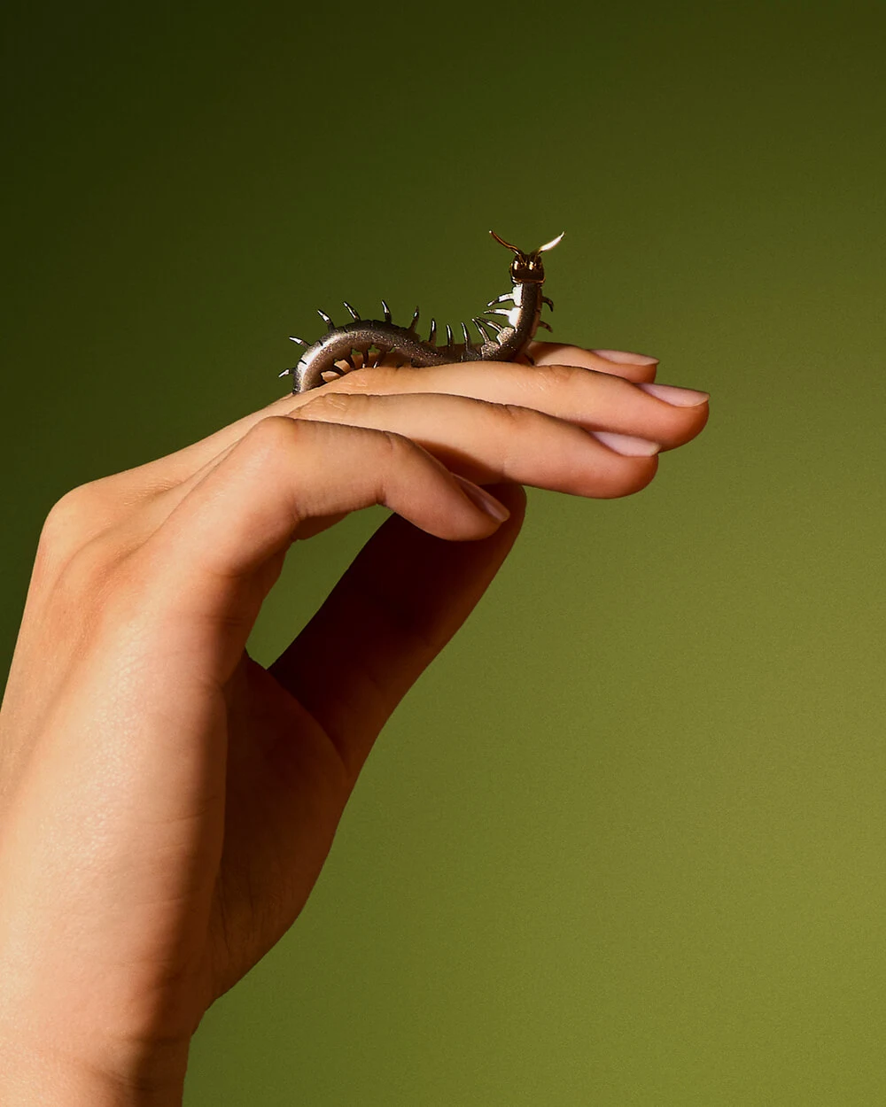 Srebrzysty pin w kształcie skolopendry