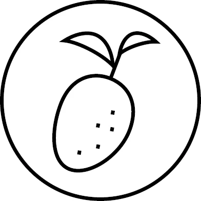 Roślinna skóra z mango, z której robione są wegaśkie torebki z kolekcji VIVO marki ORSKA